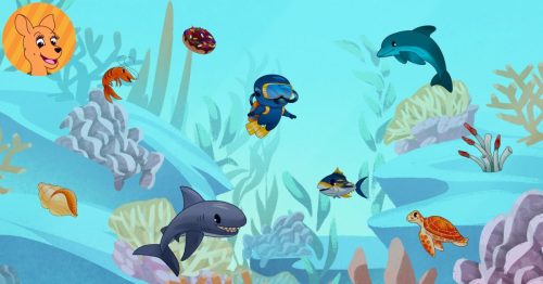 Read-a-roo Zoo ocean biome.